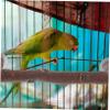 Parrot Perch, Natural Branch for Cage view 4