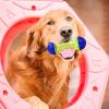 Interactive Dog Toy, Treat Dispenser for Puppies view 4