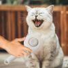 Self-Cleaning Pet Slicker Brush for Dogs and Cats view 3