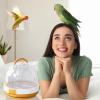 Bird Travel Cage | Bird Carrier | Travel Transport Box for Birds view 2