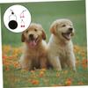 INOOMP 3-Piece Pet Headwear with Bow Tie view 2