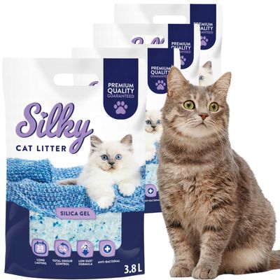 Silky Silica Cat Litter, Dust-Free Unscented Crystal Litter, Odor Control, Highly Absorbent, Antibacterial | 15.2 L - 4-Pack