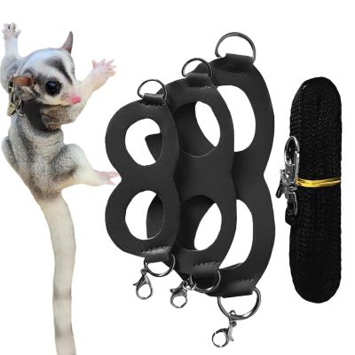 Sugar Glider Harness and Leash Set for Small Pets