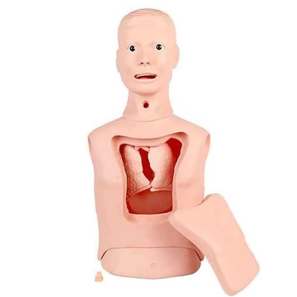 Intubation and Nasogastric Tube Training Manikin for Nursing Education