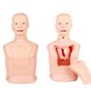Intubation and Nasogastric Tube Training Manikin for Nursing Education view 2