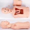 Intubation and Nasogastric Tube Training Manikin for Nursing Education view 4