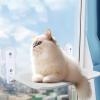 Foldable Cat Window Hammock, Breathable, Supports up to 4.5 kg view 2