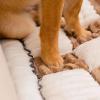 Thick Non-Slip Pet Sofa Cover for Dogs and Cats, Plush Plaid Mat, Black, 27.6 x 71 in view 4