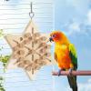 Demaxiyad Parrot Cork Toy view 3