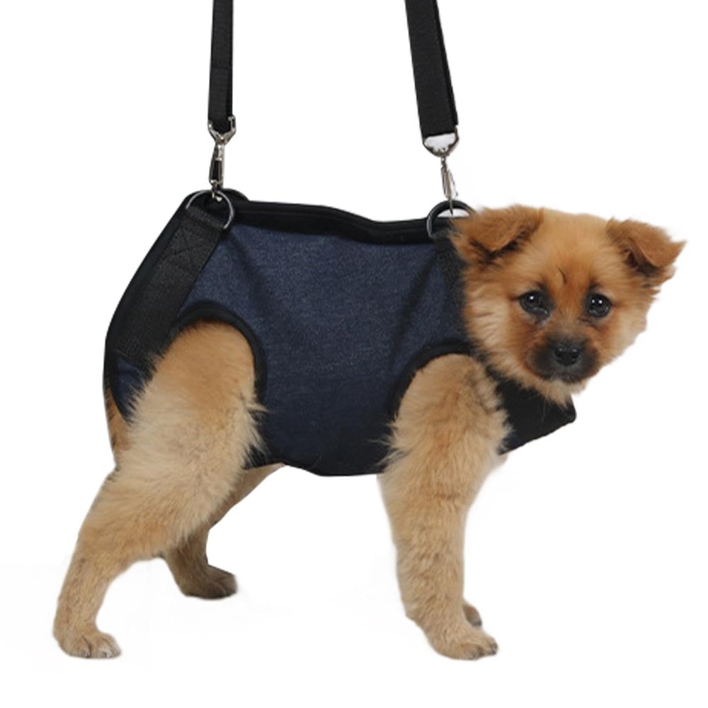Adjustable Puppy Harness for Small to Large Dogs