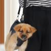 Adjustable Puppy Harness for Small to Large Dogs view 3