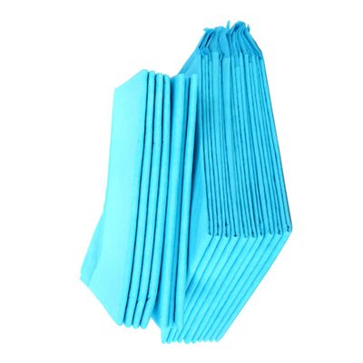 Disposable Dog Training Pads, 10 Count, with Absorbent Core for Pets