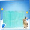 Disposable Dog Training Pads, 10 Count, with Absorbent Core for Pets view 3