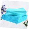 Disposable Dog Training Pads, 10 Count, with Absorbent Core for Pets view 4
