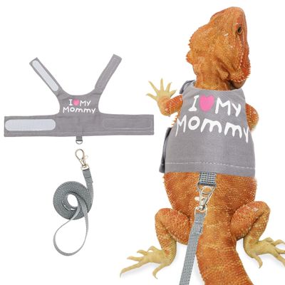 Bearded Dragon Harness and Leash for Outdoor Walks