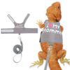 Bearded Dragon Harness and Leash for Outdoor Walks view 1