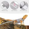 Bearded Dragon Harness and Leash for Outdoor Walks view 4