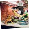 INOOMP 4-Piece Reptile Feeding Bowls with Suction Cups for Lizards and Geckos view 3
