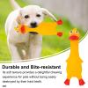 Durable Dog Toy with Sound, Vinyl Squeaker view 2