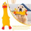 Durable Dog Toy with Sound, Vinyl Squeaker view 3