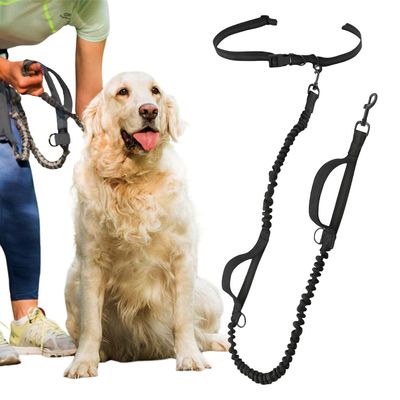 Hands-Free Retractable Dog Leash for Walks