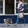 Hands-Free Retractable Dog Leash for Walks view 2
