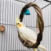 Uozonit Parrot Ring Swing, Bird Swing Rings, Bird Perch view 3