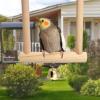 Natural Wood Bird Swing view 3