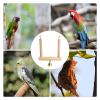 Natural Wood Bird Swing view 4