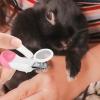 Multipurpose Nail Clippers for Rabbits and Small Pets view 2