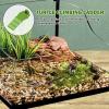 Generic Basking Ramp for Large Turtles view 2