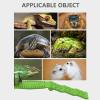 Generic Basking Ramp for Large Turtles view 4