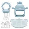 CLDY Baby Fruit Feeder & Mini Freezer Tray Set, from 4 Months, BPA-Free Silicone Teething Feeder view 1
