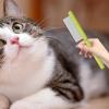 Cat Grooming Brush - Dog Comb view 3