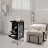 Salon Rolling Cart with 4 Drawers, Tray and Wheels for Beauty Salons, Hair Salons and Home (Black) view 3