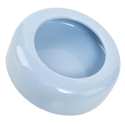 Toddmomy Exotic Shorthair Ceramic Food Bowl for Pets, Flat, Large Capacity, Sky-