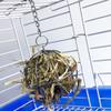 Pet Stainless Steel Hay Ball Feeder view 3