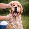 Karlie Basic Care Dog Shampoo, 300 ml view 2