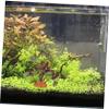 CIYODO Artificial Reptile Climbing Plant for Terrarium Decoration view 3