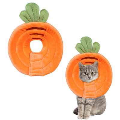 Crazy Bean Recovery Collar for Pets - Orange Carrot, M