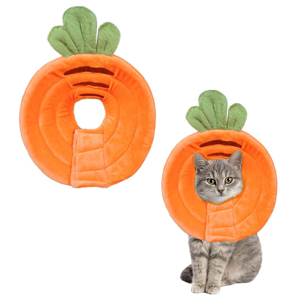 Crazy Bean Recovery Collar for Pets - Orange Carrot, M