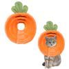 Crazy Bean Recovery Collar for Pets - Orange Carrot, M view 1