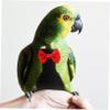 CIYODO Washable Parrot Diaper view 4