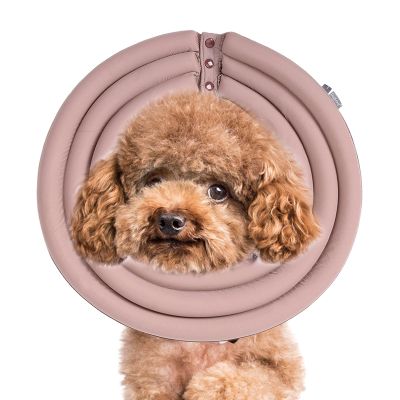 Cone Collar for Dogs, Neck Support and Recovery Pillow Collar