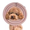 Cone Collar for Dogs, Neck Support and Recovery Pillow Collar view 1