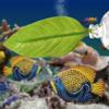 Aquarium Fish Decor for Betta view 3