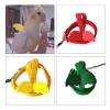 BaoFufc Parrot Flight Training Harness view 2
