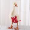 Duck Diapers, Chicken Diapers, Waterproof Reusable Duck Diapers view 2