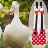 Duck Diapers, Chicken Diapers, Waterproof Reusable Duck Diapers view 3