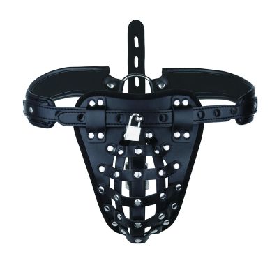 LZYLWC Men's PU Leather Chastity Cage with Lock